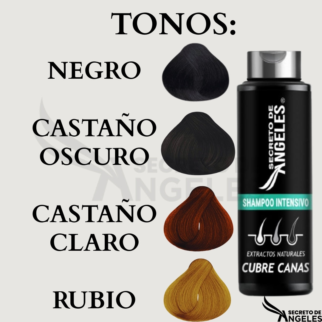 Shampoo cubre canas secreto GrayAway Pro Kit®